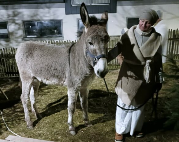 Fotografie z otevírání betléma na farní zahradě